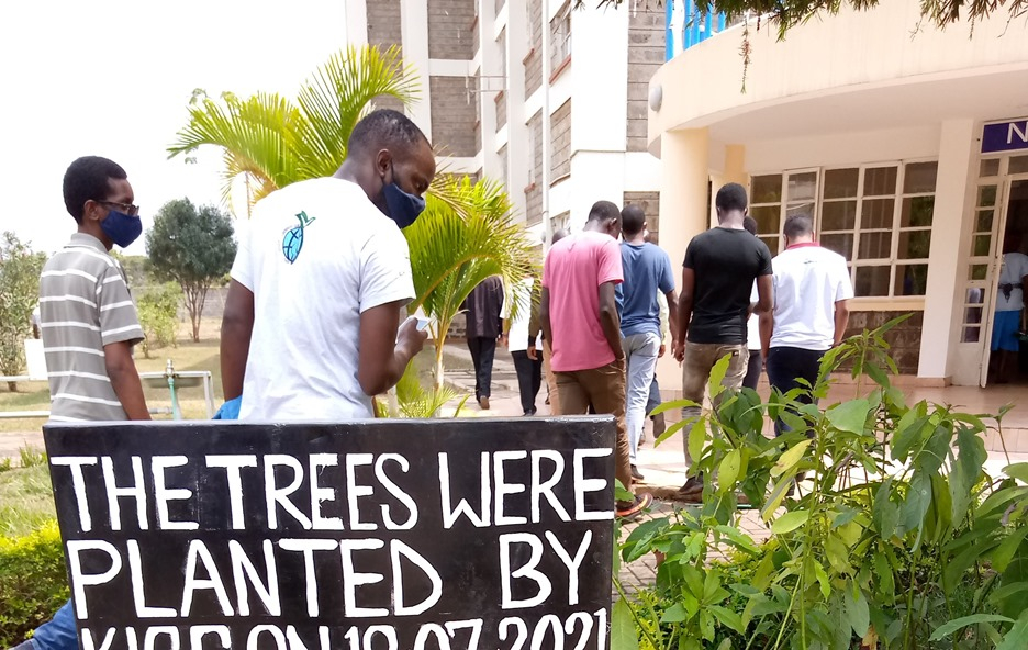 Tree Planting Exercise