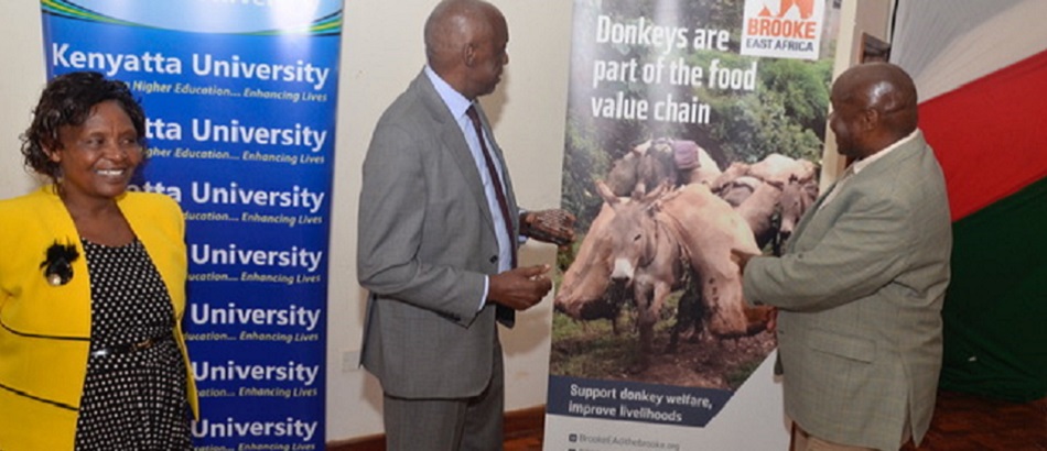 Donkey Project Inaugration Ceremony